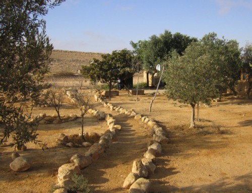Bedouin of the Negev